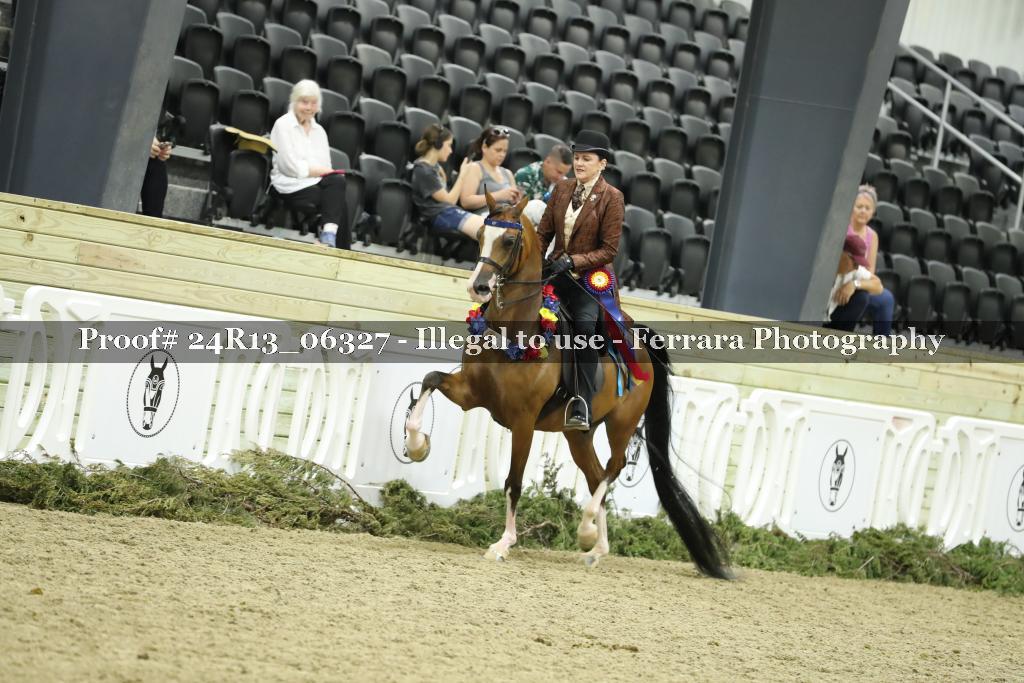 Proof 24R13_06327
