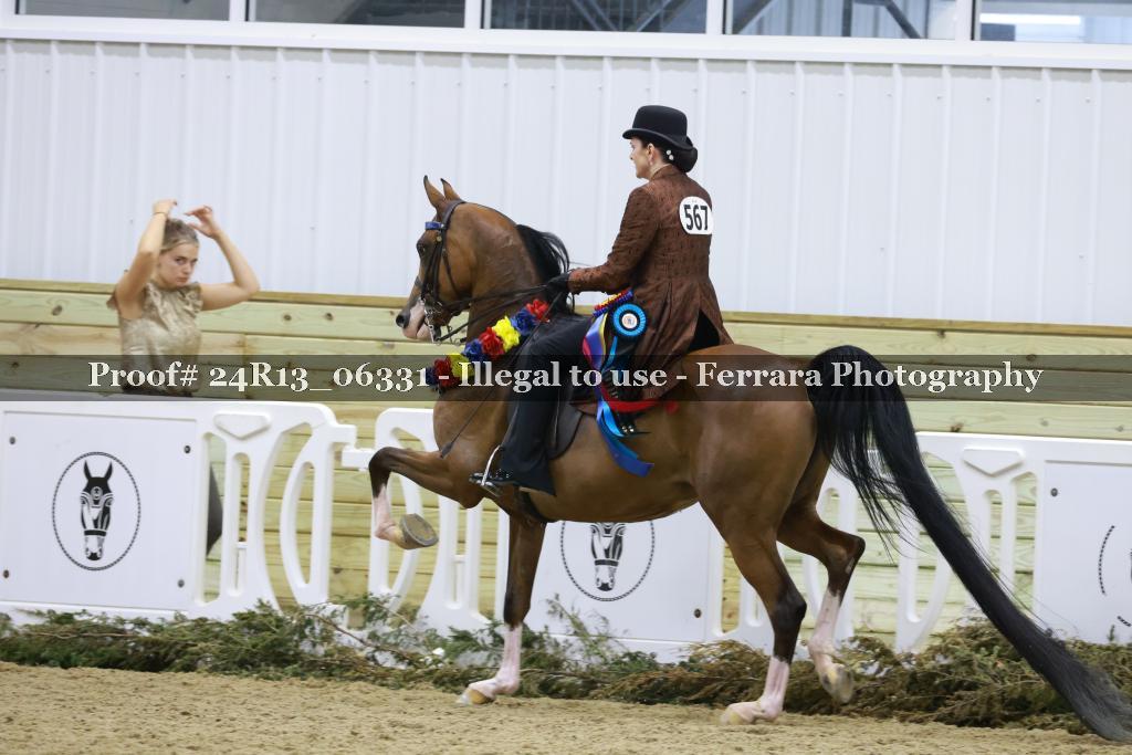 Proof 24R13_06331