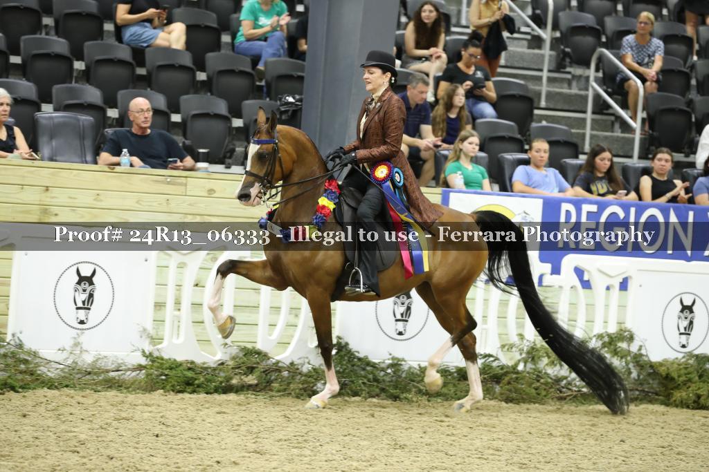 Proof 24R13_06333