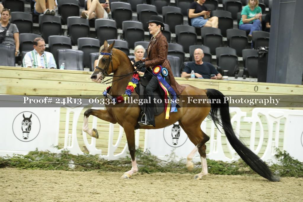 Proof 24R13_06334
