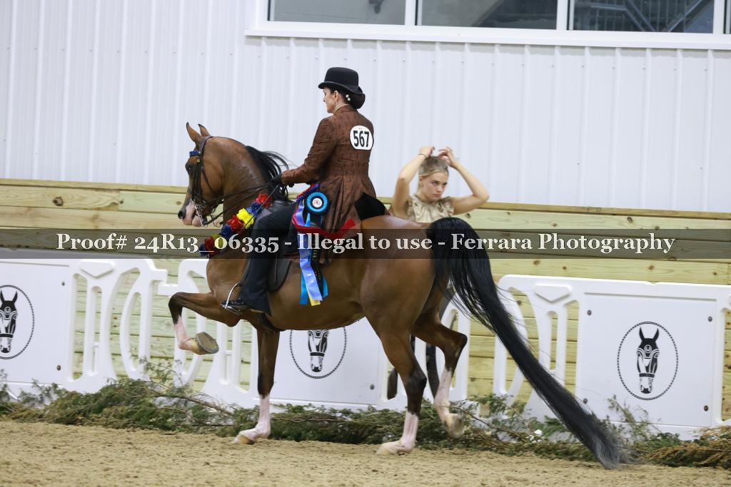 Proof 24R13_06335