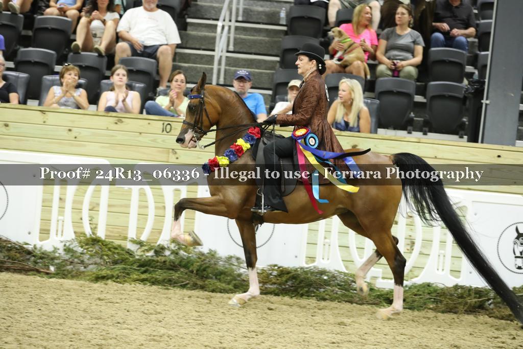 Proof 24R13_06336