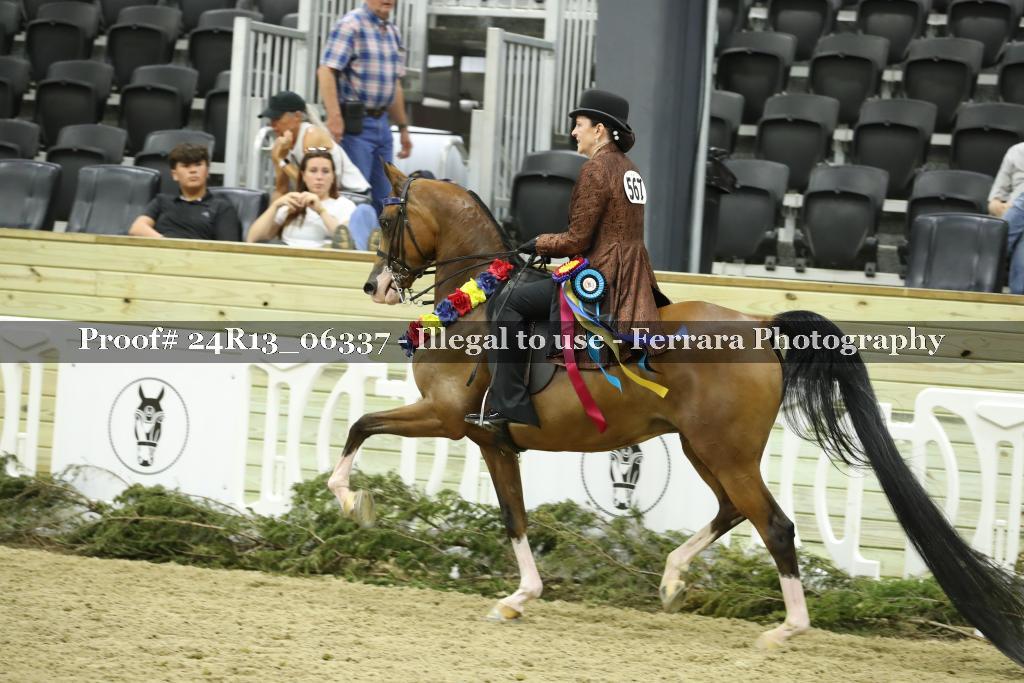 Proof 24R13_06337