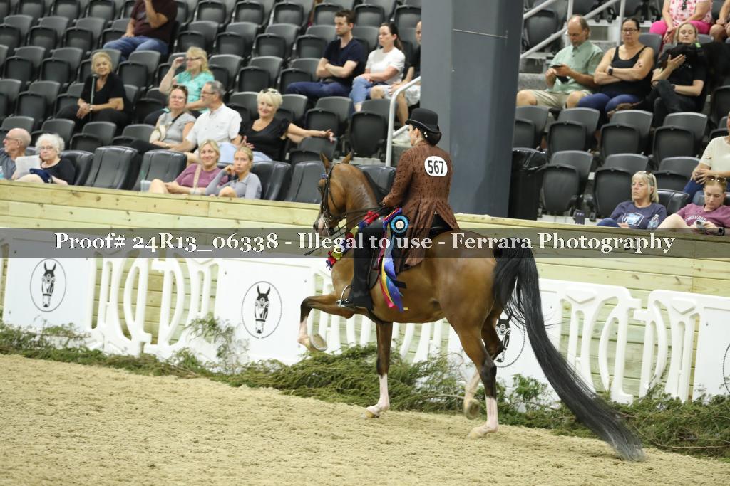 Proof 24R13_06338