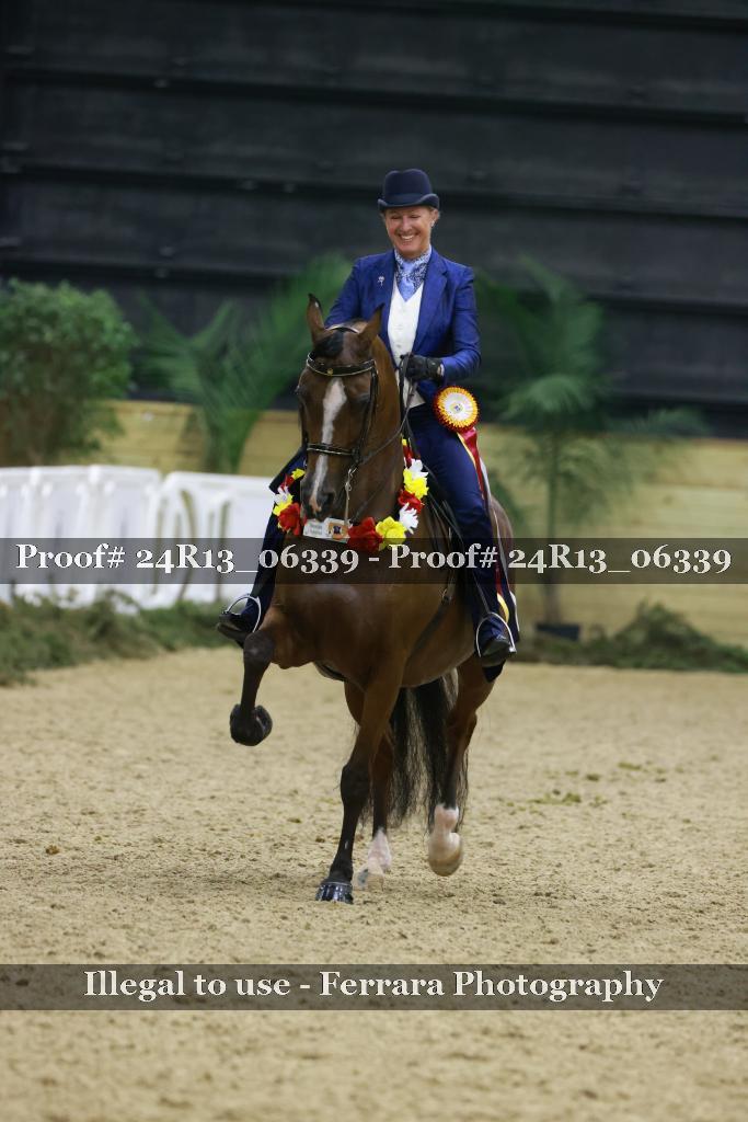 Proof 24R13_06339