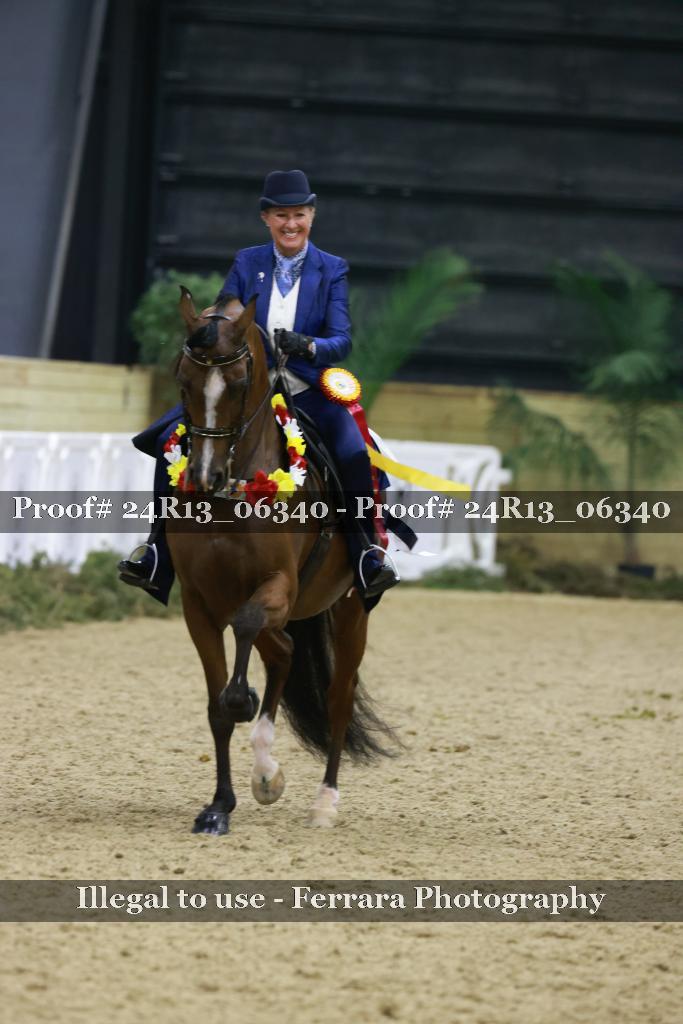 Proof 24R13_06340