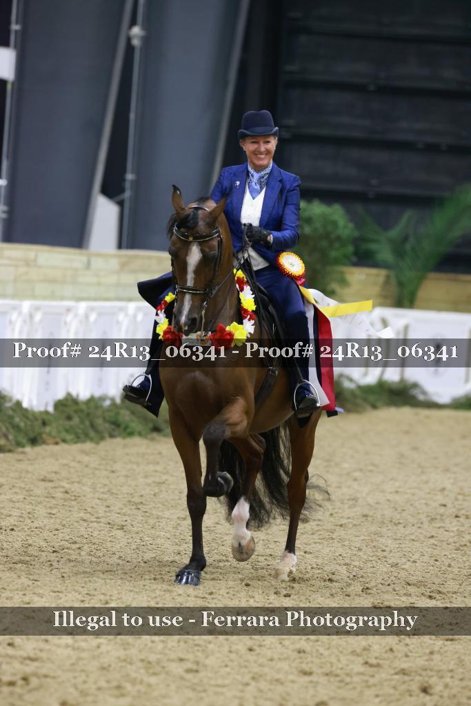 Proof 24R13_06341