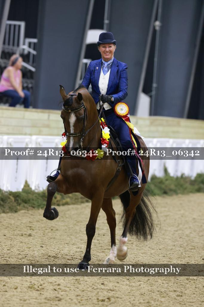 Proof 24R13_06342