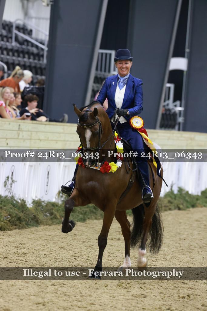 Proof 24R13_06343