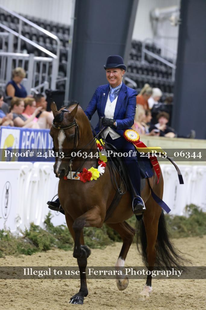 Proof 24R13_06344