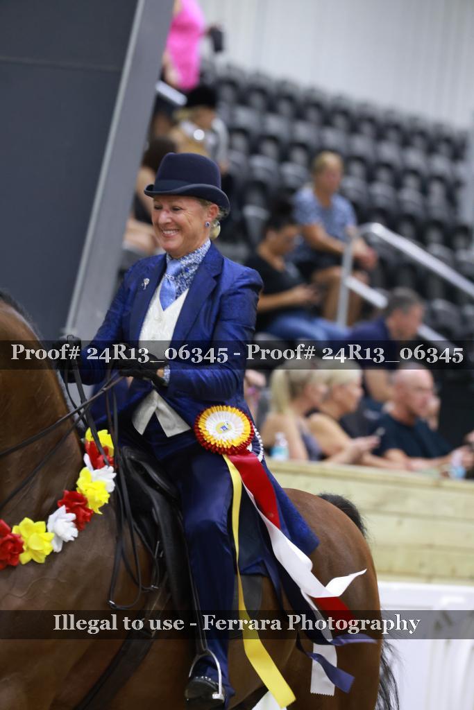 Proof 24R13_06345