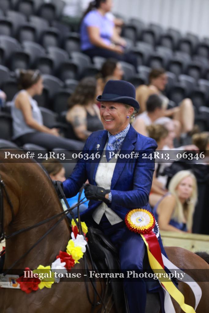 Proof 24R13_06346