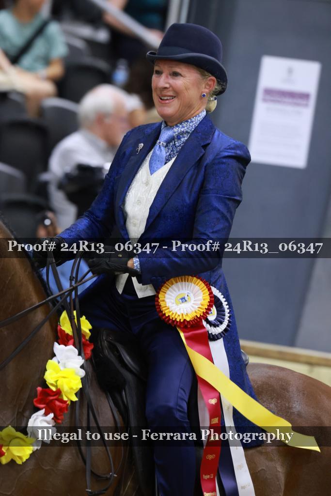 Proof 24R13_06347