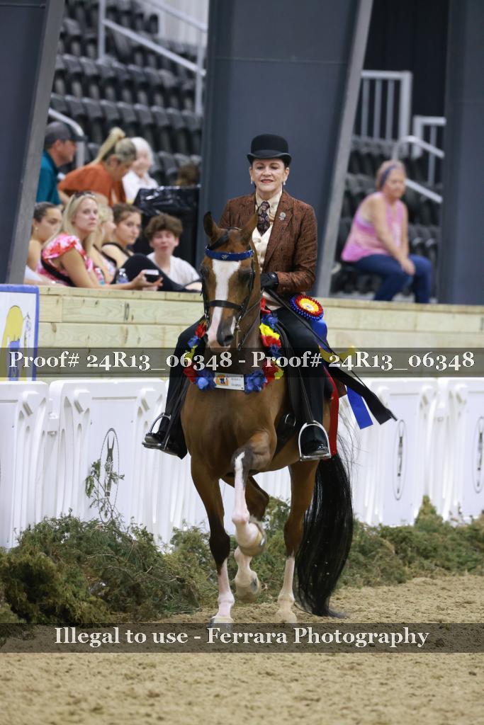 Proof 24R13_06348