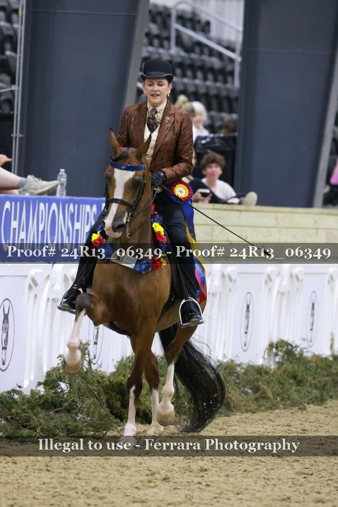 Proof 24R13_06349
