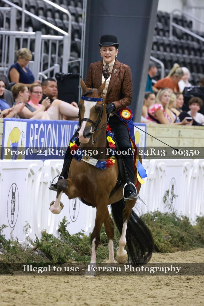 Proof 24R13_06350