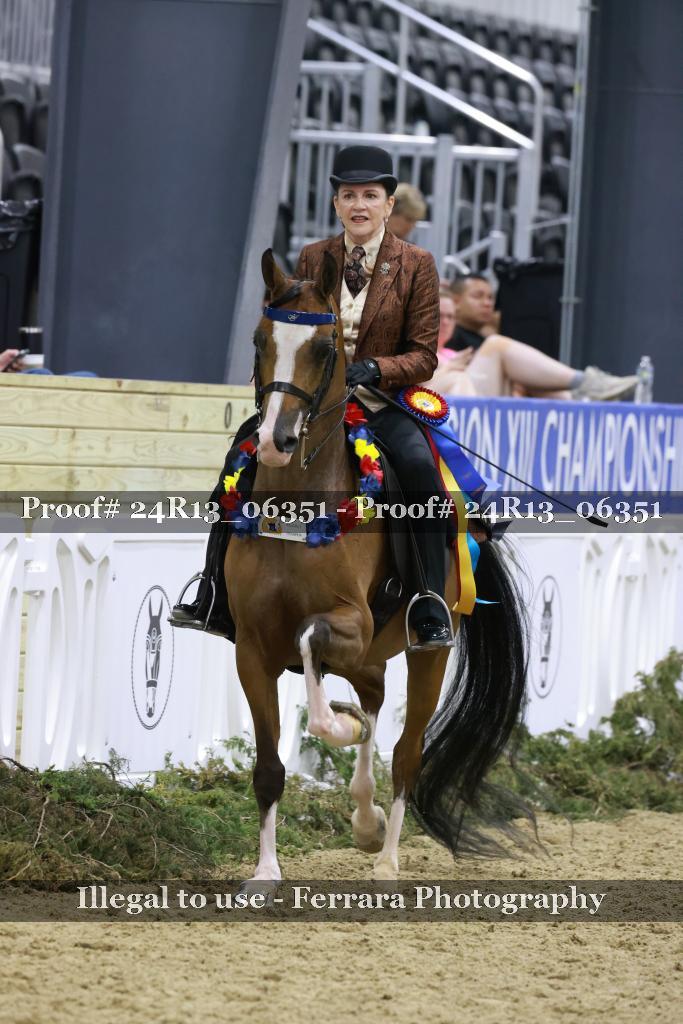 Proof 24R13_06351