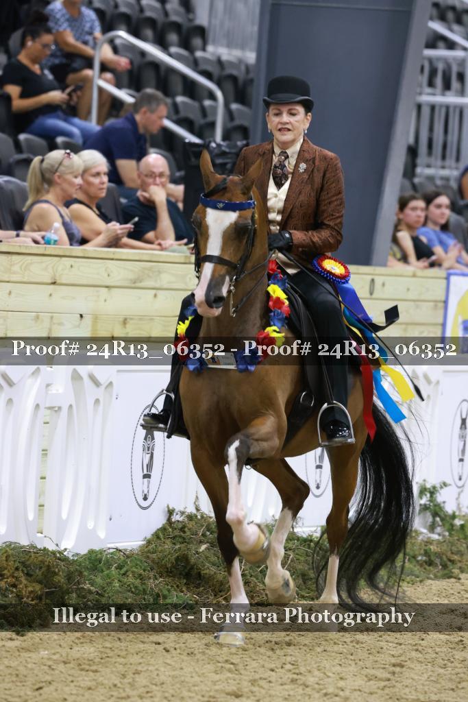 Proof 24R13_06352