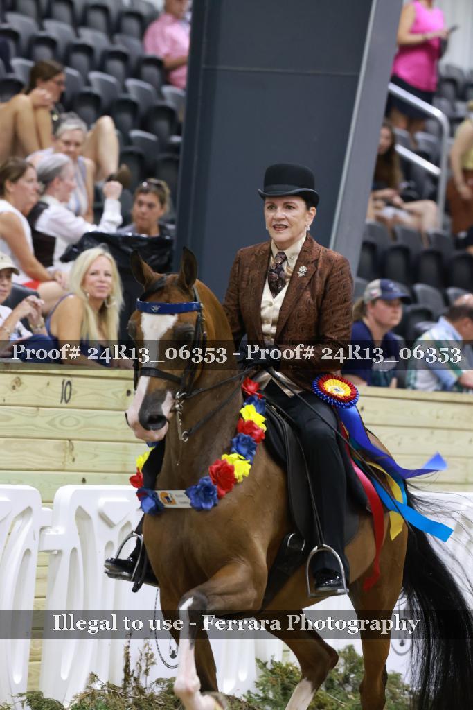 Proof 24R13_06353