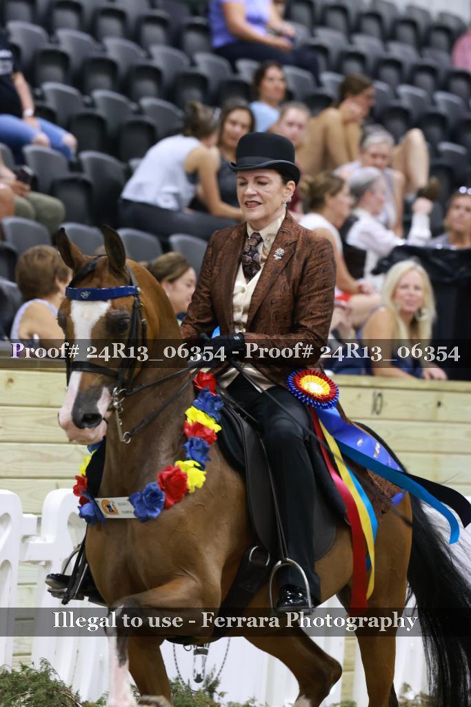 Proof 24R13_06354