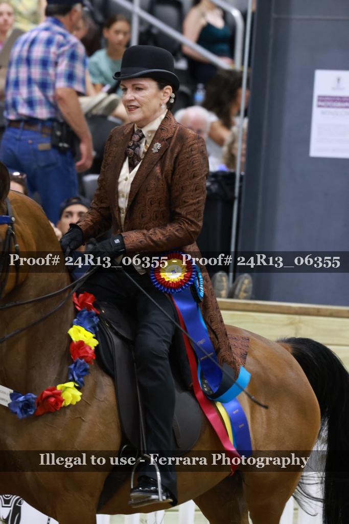 Proof 24R13_06355