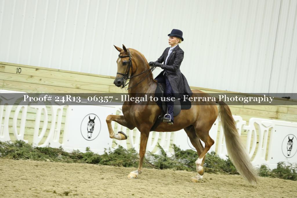Proof 24R13_06357