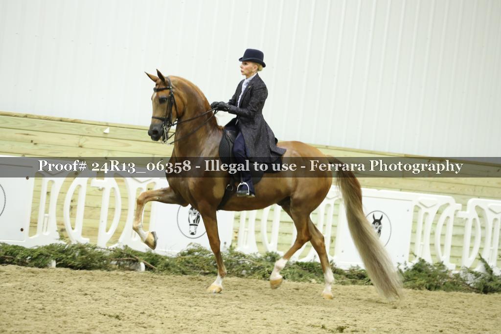 Proof 24R13_06358