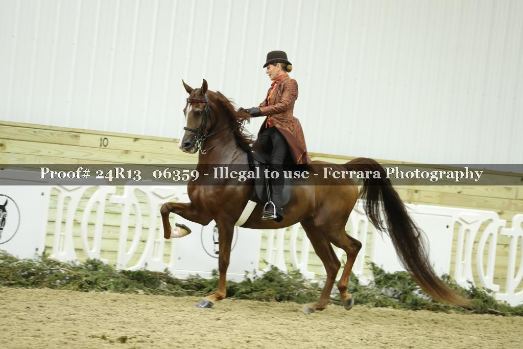 Proof 24R13_06359