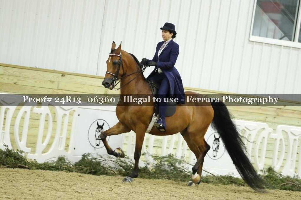 Proof 24R13_06360