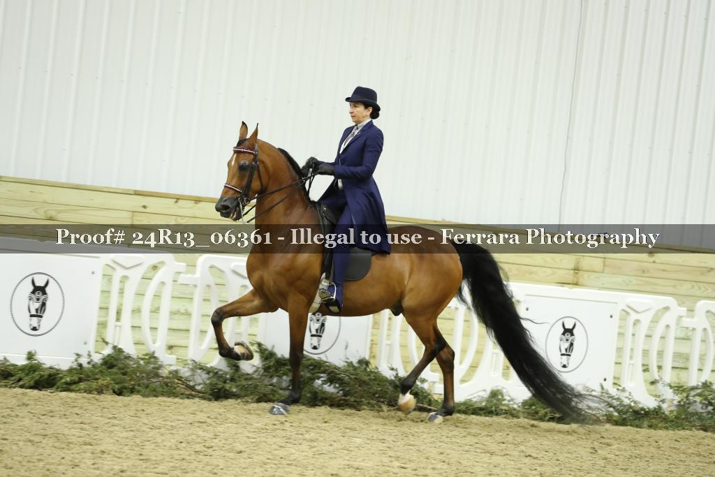 Proof 24R13_06361