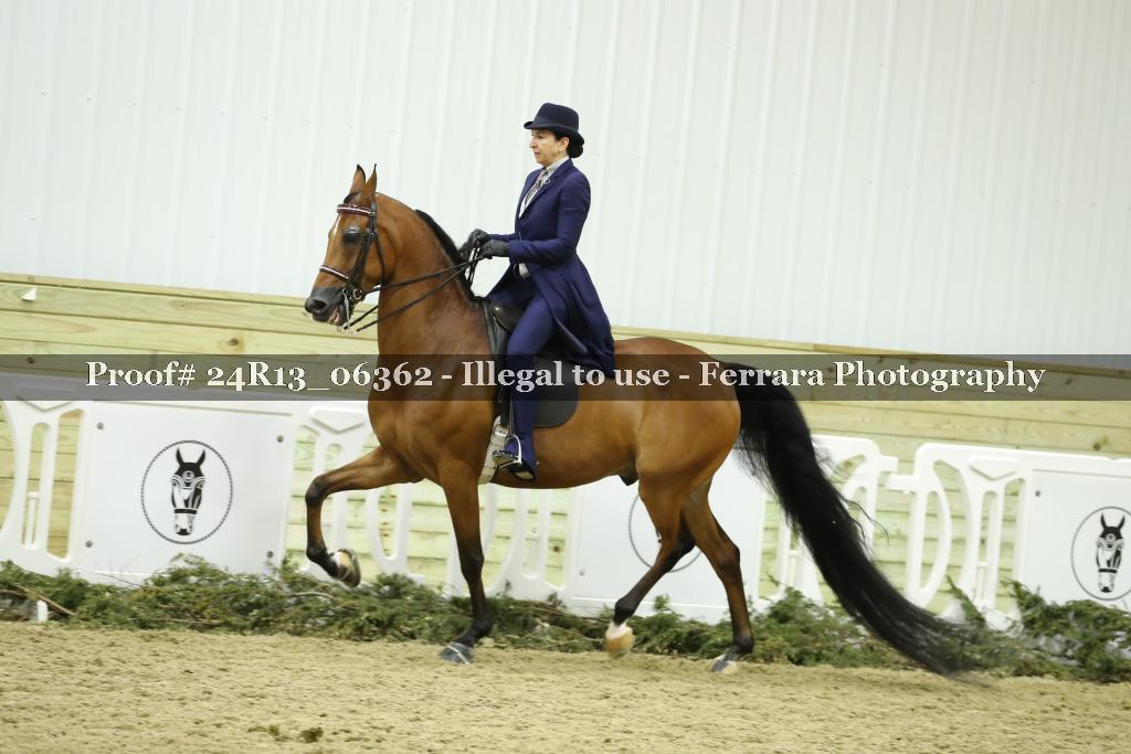 Proof 24R13_06362
