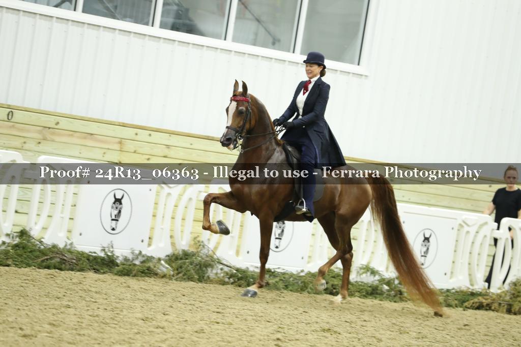 Proof 24R13_06363