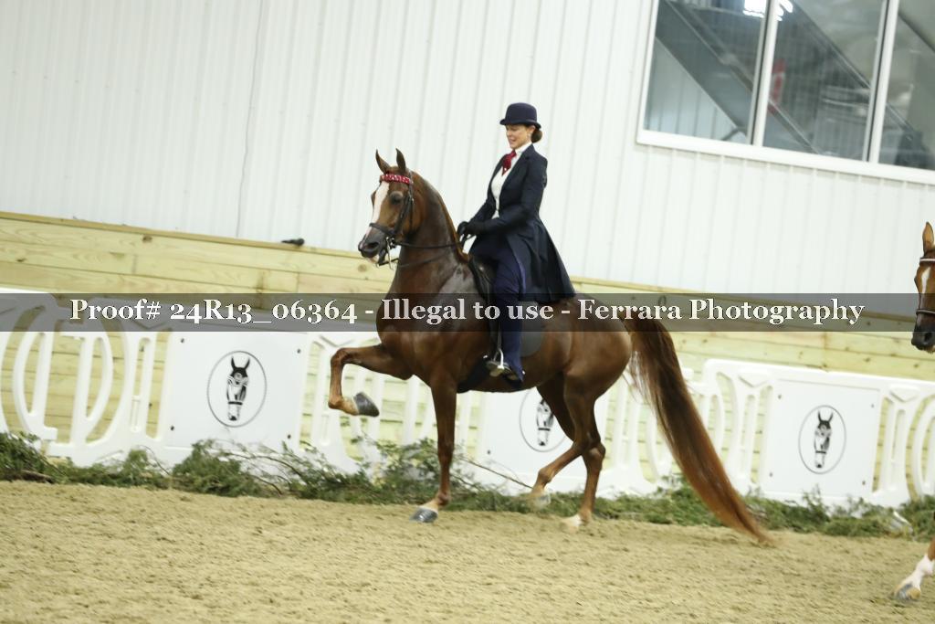 Proof 24R13_06364