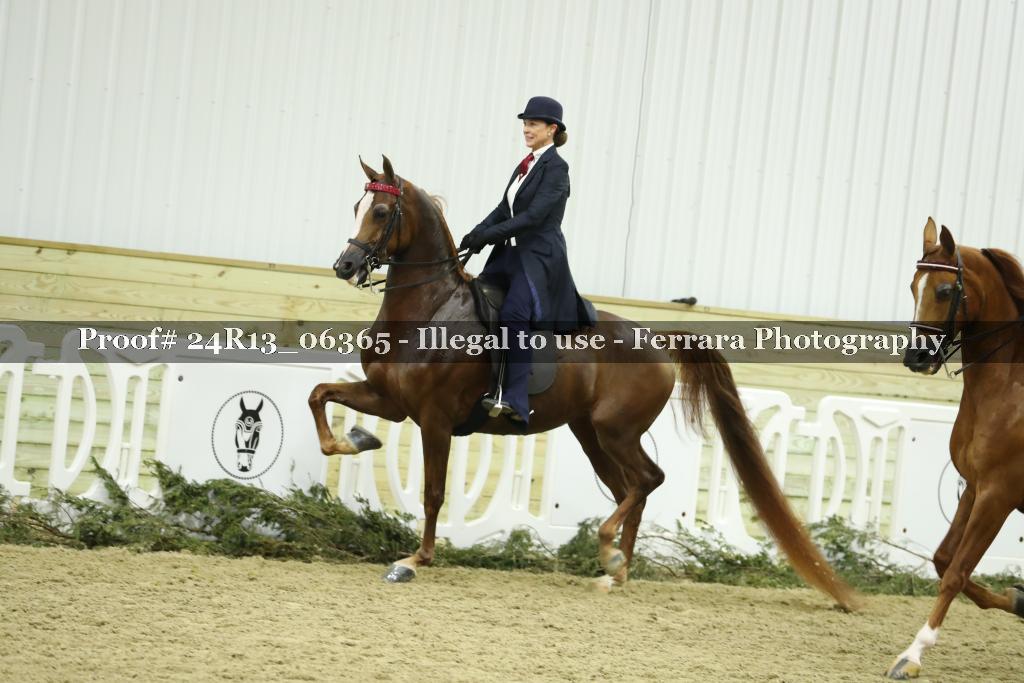 Proof 24R13_06365
