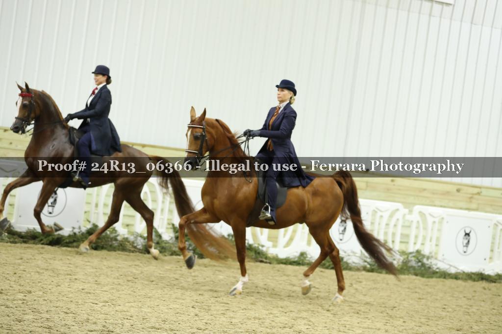 Proof 24R13_06366