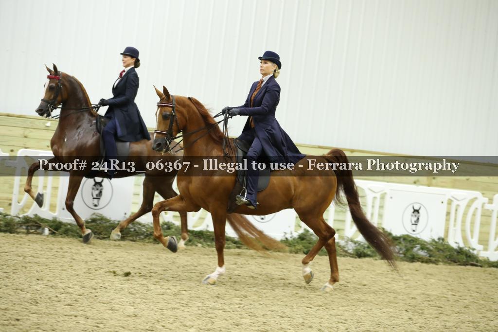 Proof 24R13_06367