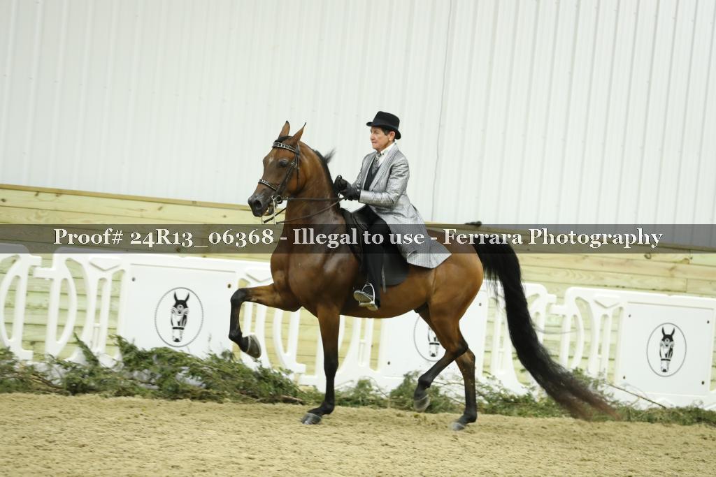 Proof 24R13_06368