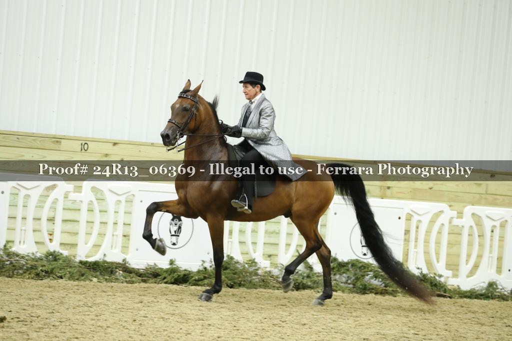 Proof 24R13_06369