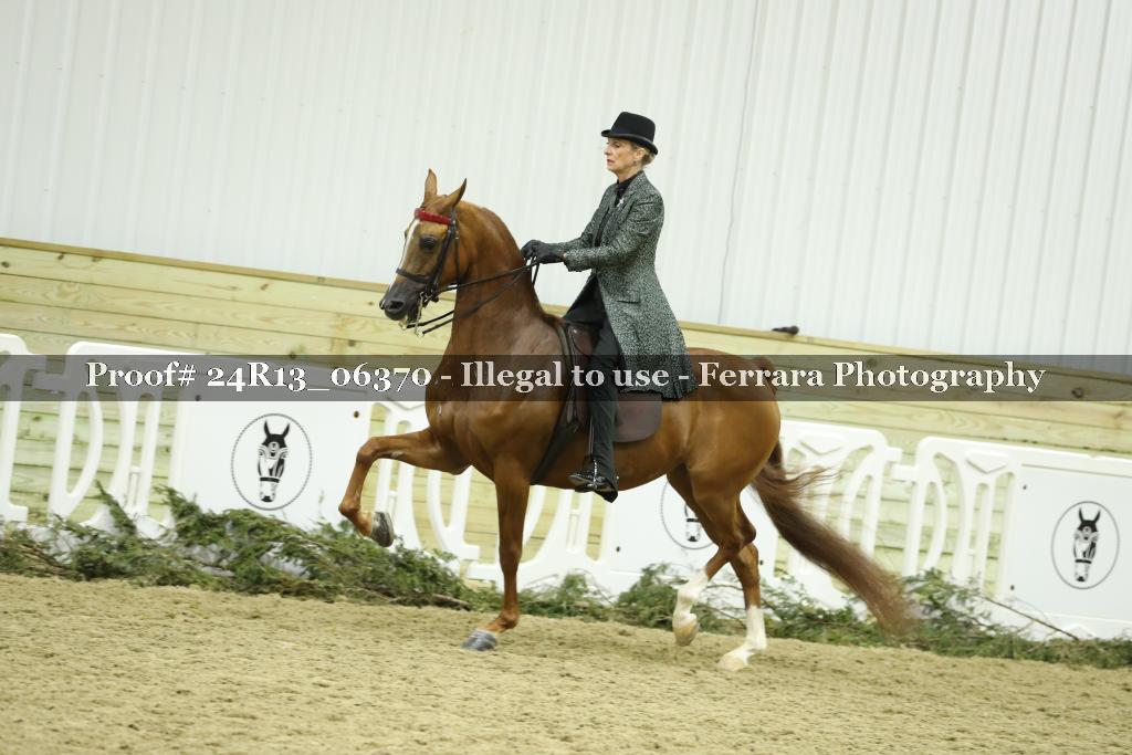 Proof 24R13_06370