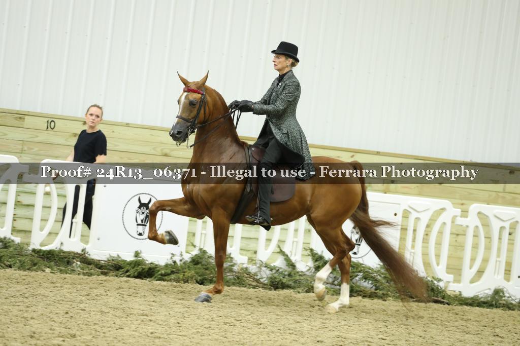 Proof 24R13_06371