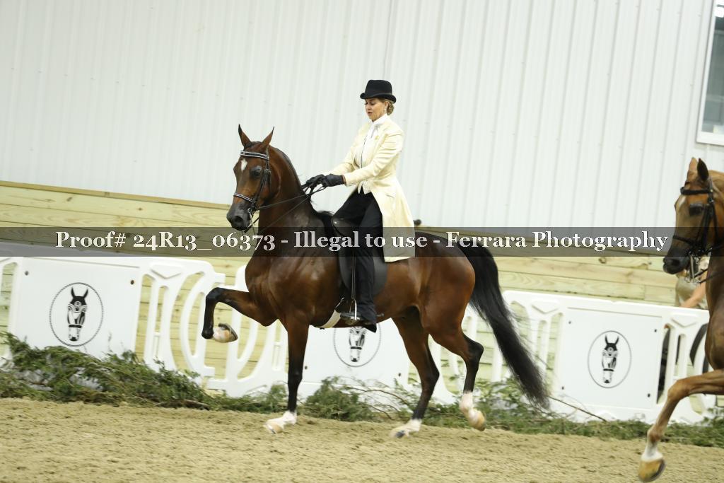Proof 24R13_06373