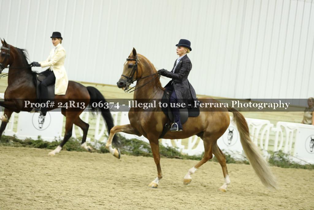 Proof 24R13_06374