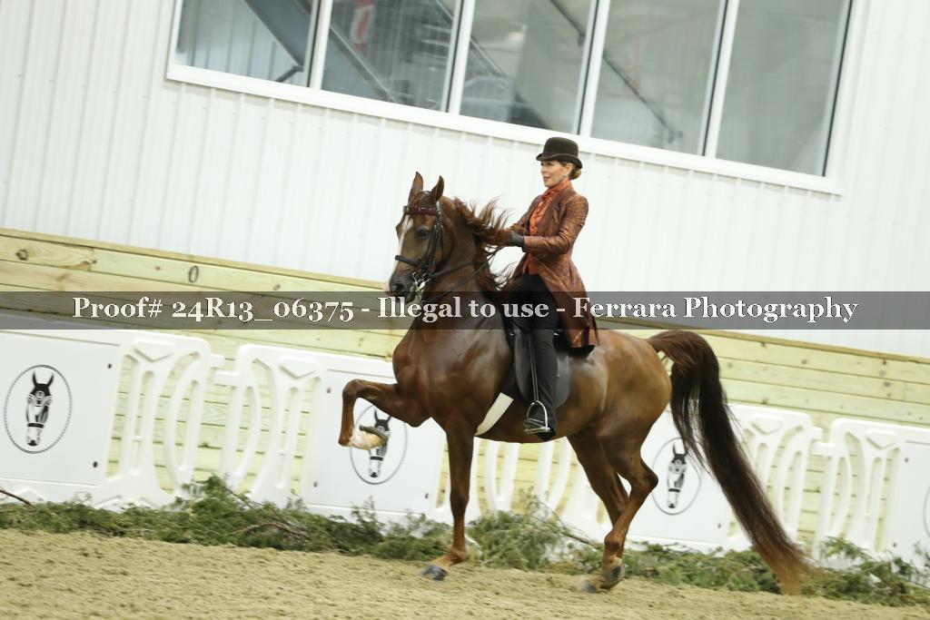 Proof 24R13_06375