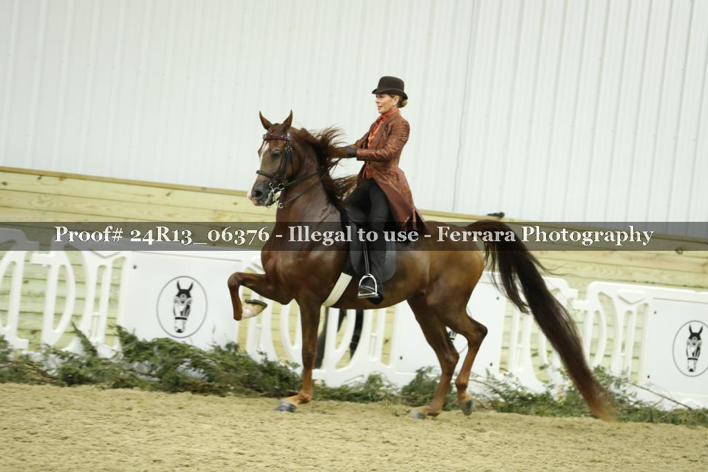 Proof 24R13_06376