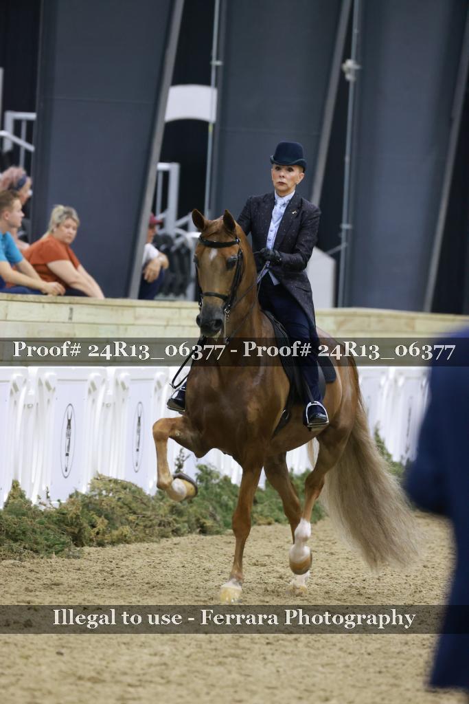 Proof 24R13_06377