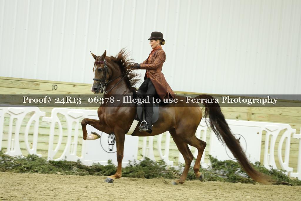 Proof 24R13_06378