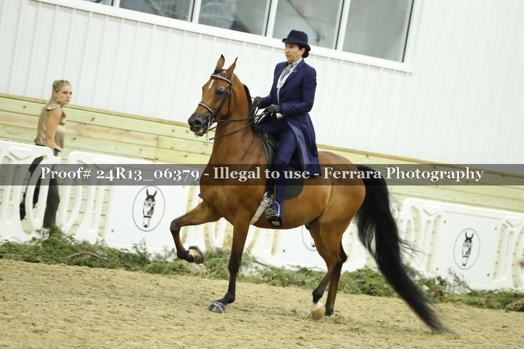 Proof 24R13_06379