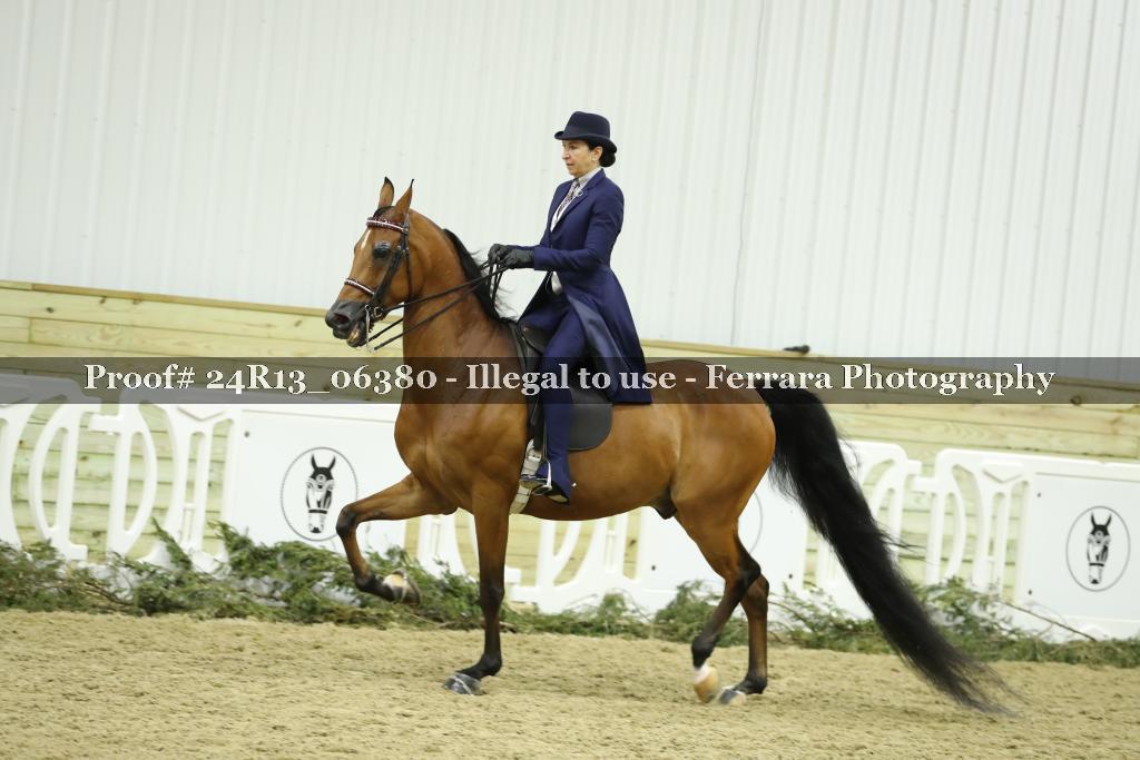 Proof 24R13_06380