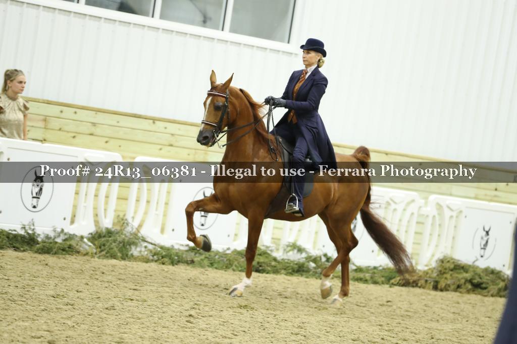 Proof 24R13_06381