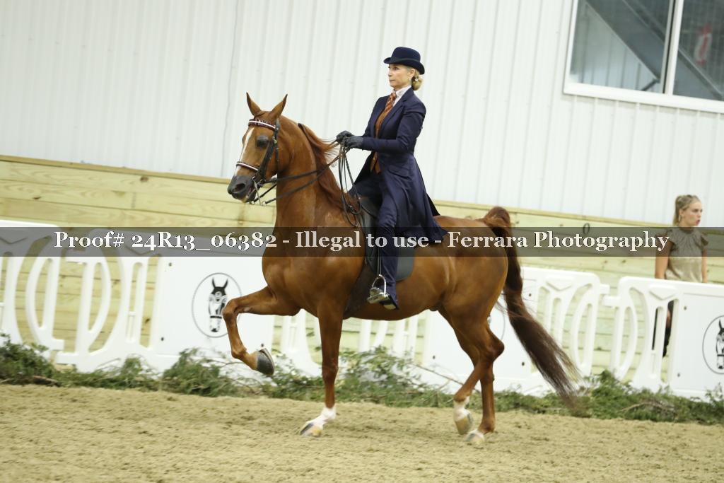 Proof 24R13_06382